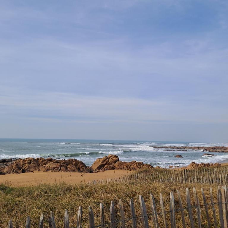 MARION I 8 couchages I Plage, forêt & marais à pied - Four-Bedroom House - 36