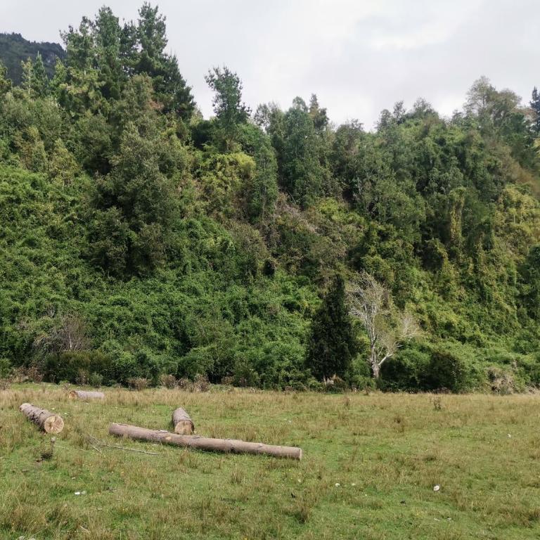 Cabañas Piukewen - One-Bedroom House - 13