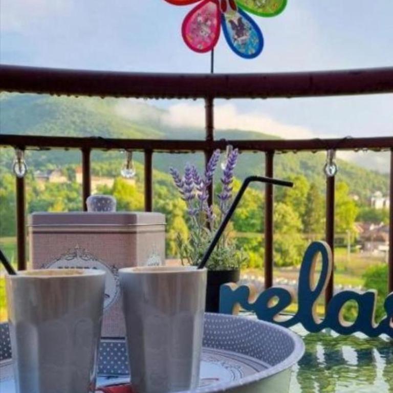 Royal Panorama Apartman & "Free Garage Parking" - Apartman sa Pogledom na Planinu - 22