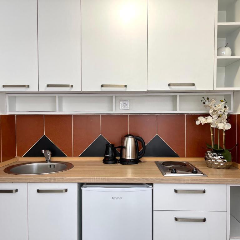 Apartments Pribilovic - Apartman sa Terasom - 25