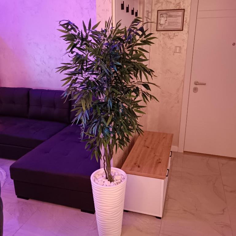 RB Apartment 3 Lux smart house - One-Bedroom Apartment - 23