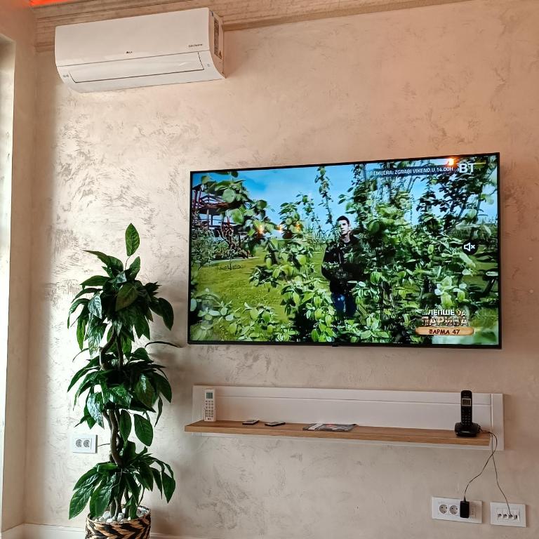 RB Apartment 3 Lux smart house - One-Bedroom Apartment - 16