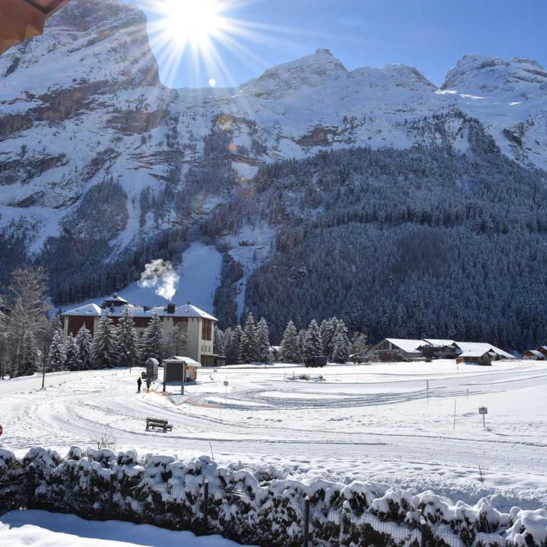 Appartement chalet 4 pièces, proche centre, animaux admis - FR-1-464-214 - Apartment - 3