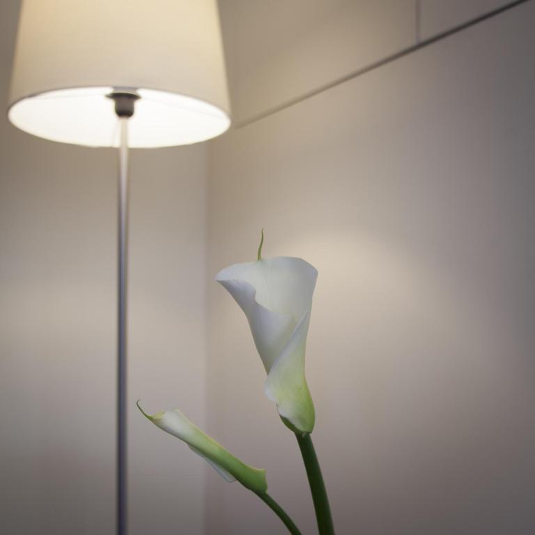 Erïk Langer Pedrocchi Suites - Ampio Appartamento Superior con 1 Camera da Letto - 2