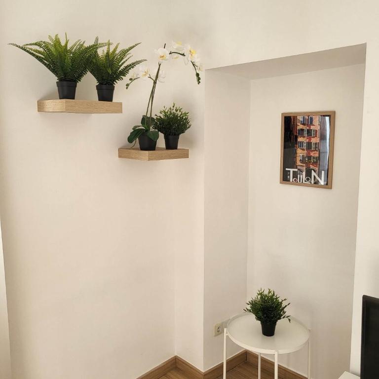 Studio sur le port de Toulon - Apartment mit 1 Schlafzimmer - 6