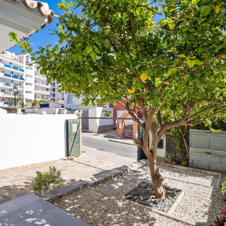 Casa Los Limones - Villa - 43