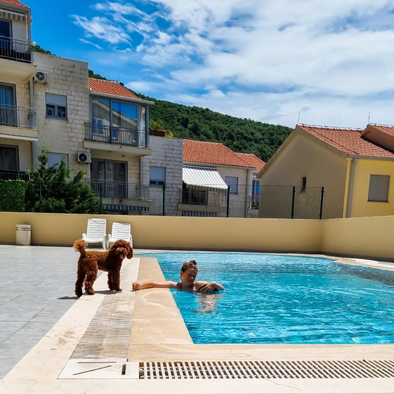 Anja & Ogo apartments with Pool 2 - Studio Apartman s Balkonom - 13