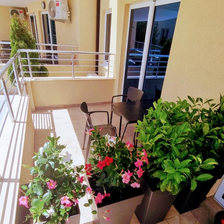 Anja & Ogo apartments with Pool _ - Apartment with Pool View - 20