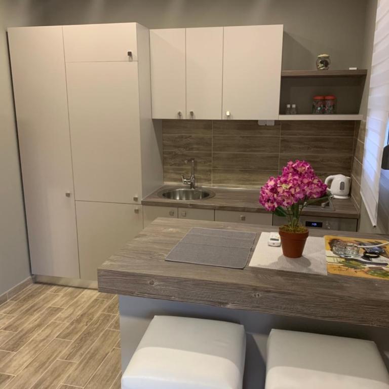 Apartments Villa Jelena - Studio sa Pogledom na More - 3