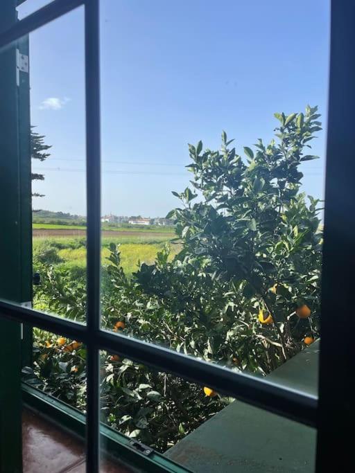 La Macadamia - Casa de 2 dormitorios - 13