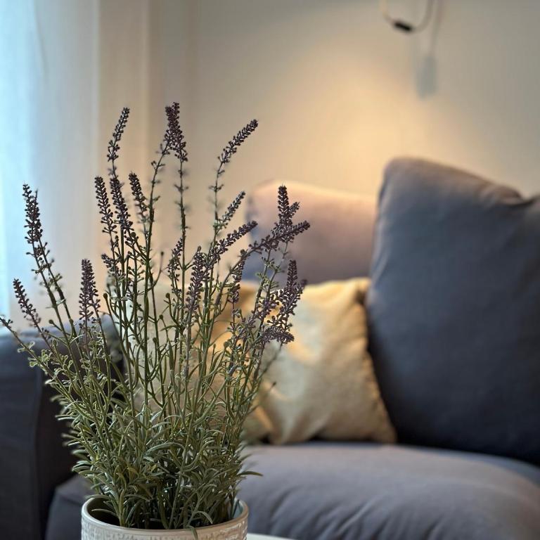 MIA Appartements - Apartment - 3