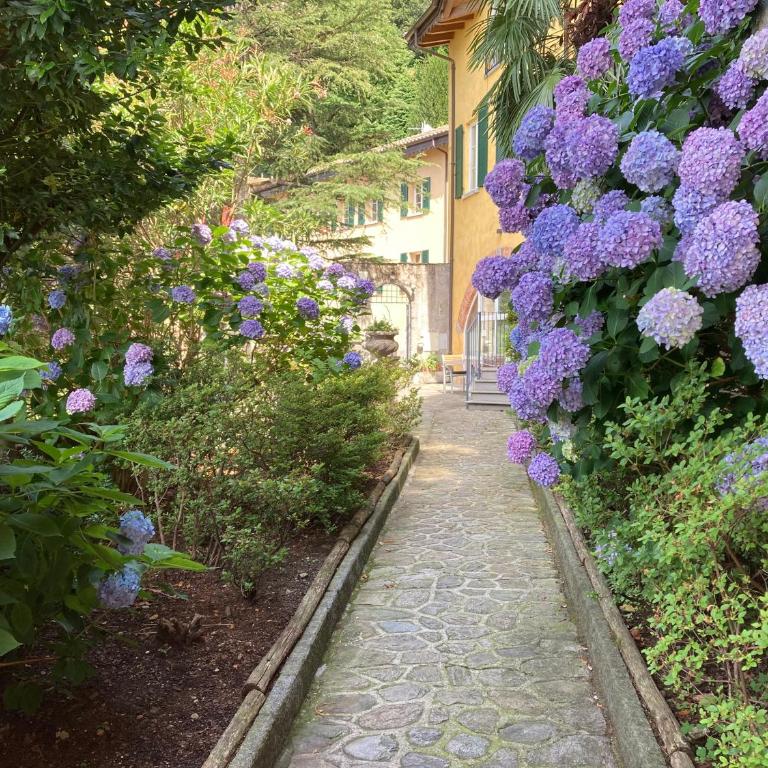 Rosa dei Venti - Lake view Apartments & Suites - Appartamento con 1 Camera da Letto - 5