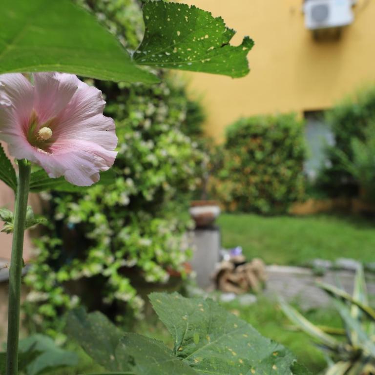 La Corte del Pratello - Studio Apartment - 10