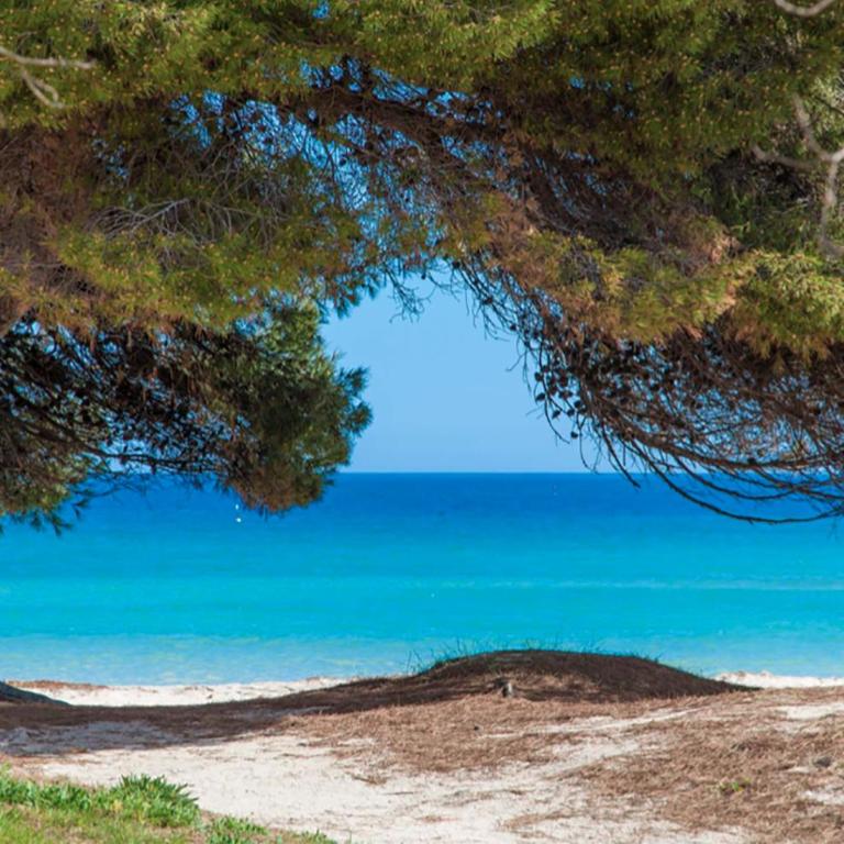 Apartment Countess Attic 2-3, Sun of the Bay Vidalba 3, at Alcudia Beach - Apartamento con vistas al mar - 11