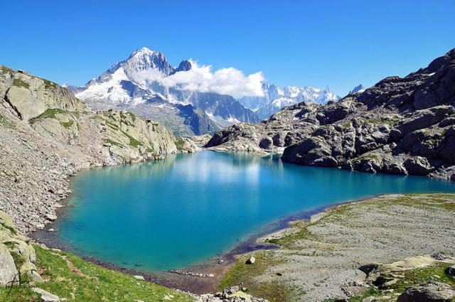 Happy Moose - Cosy Mont Blanc View apartment with sauna - Appartamento con 1 Camera da Letto - 42