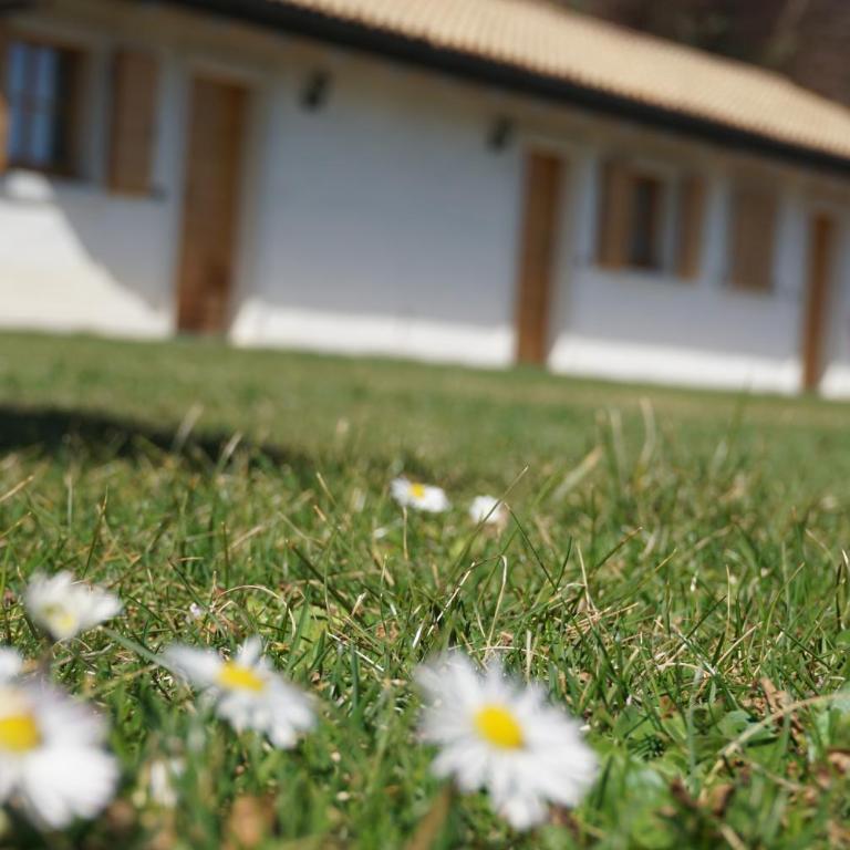 Agritur Maso Carpenè - Camera Matrimoniale - 23