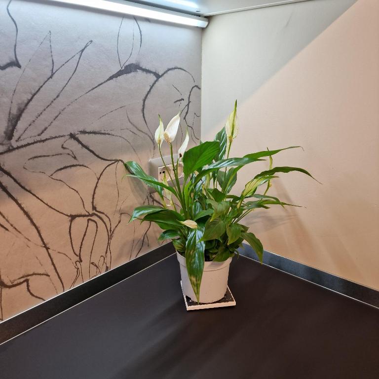 Corso Vittorio 364 - Appartamento con 1 Camera da Letto - 15