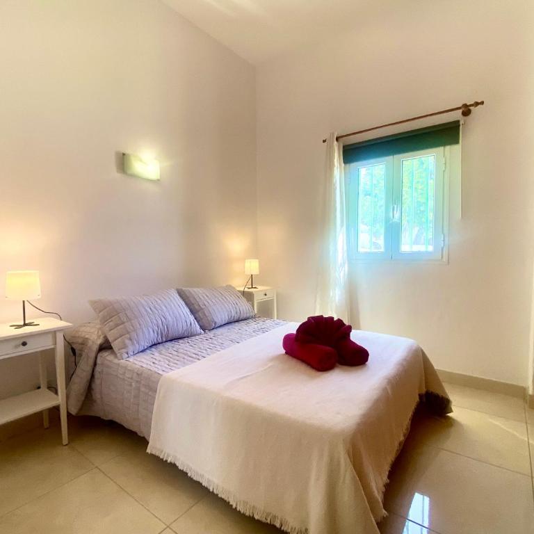 Apartamento 11. Arena y mar - Apartamento de 1 dormitorio - 12