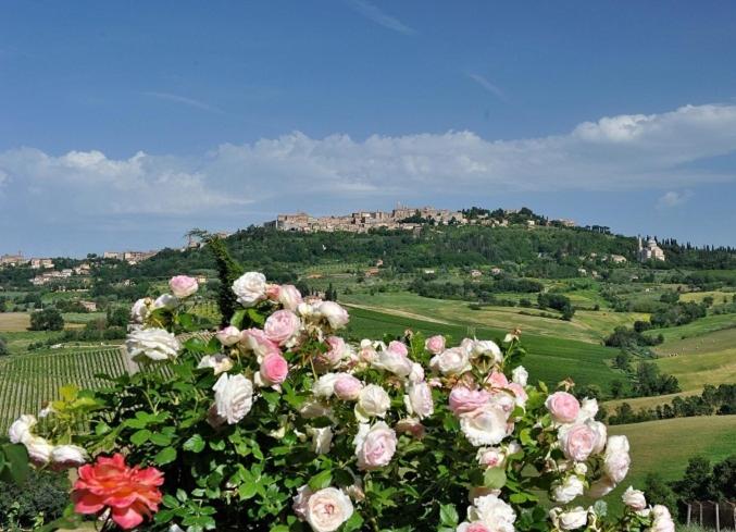 Agriturismo La Creta - Appartamento con 2 Camere da Letto - 1