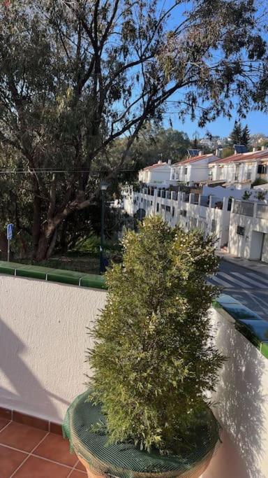 El nido del amá - Apartamento de 1 dormitorio - 6