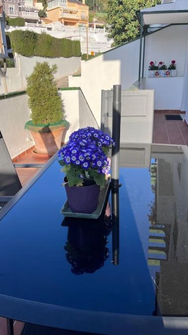 El nido del amá - Apartamento de 1 dormitorio - 3