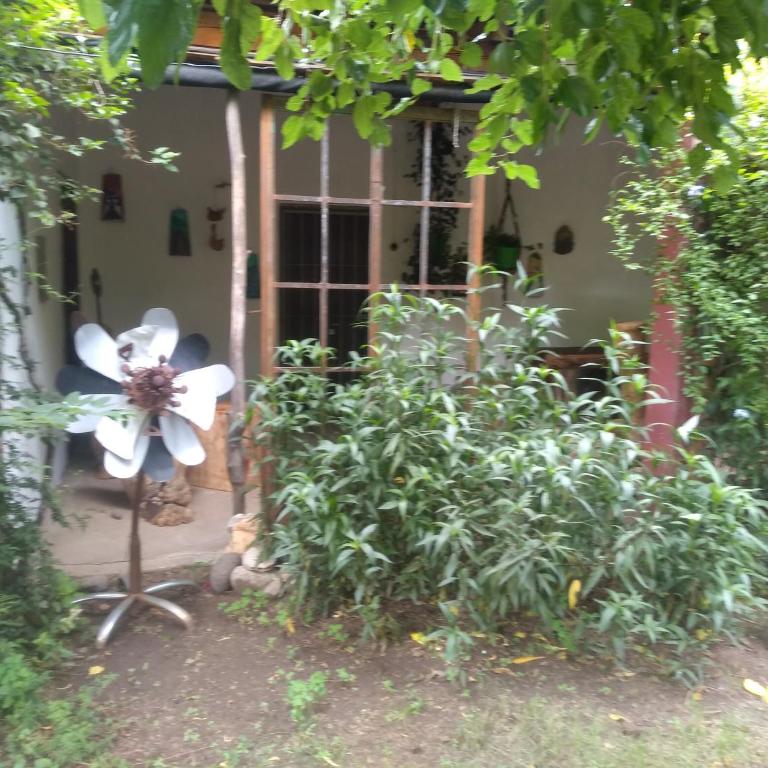 Casa Alma Verde calma - Double Room with Shared Bathroom - 11