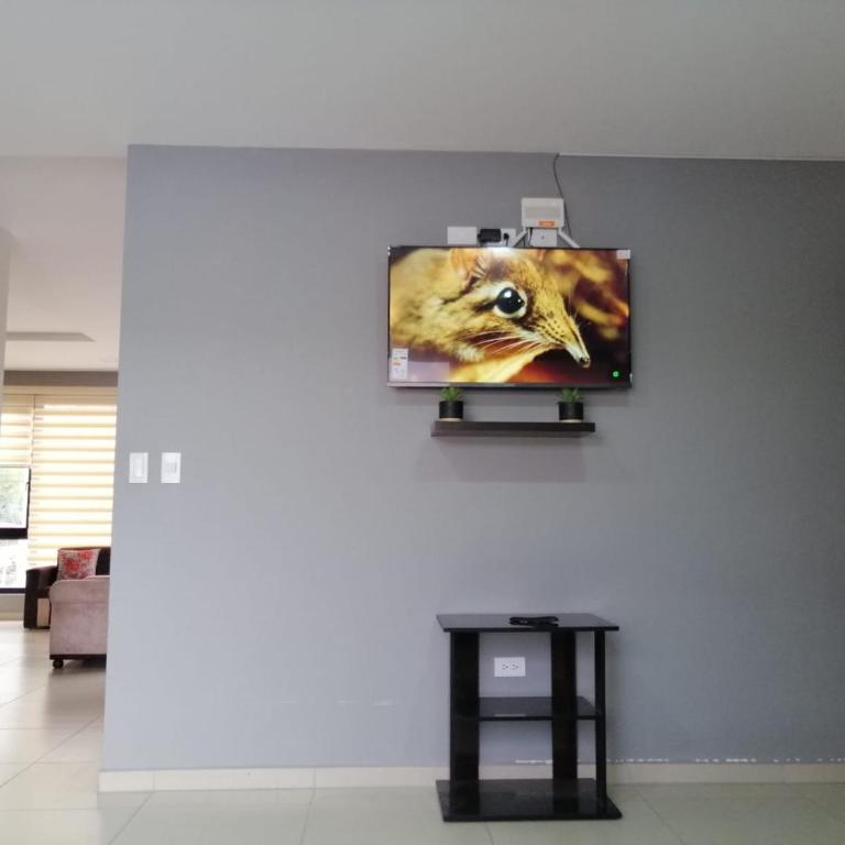 Departamento acogedor, nuevo y Amplio - Apartamento de 3 dormitorios - 14