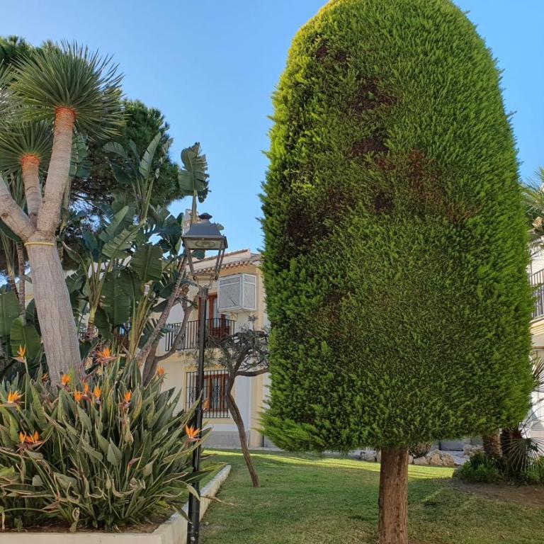 Very Very Vera Beach - Freshly Renovated - Apartamento - 21