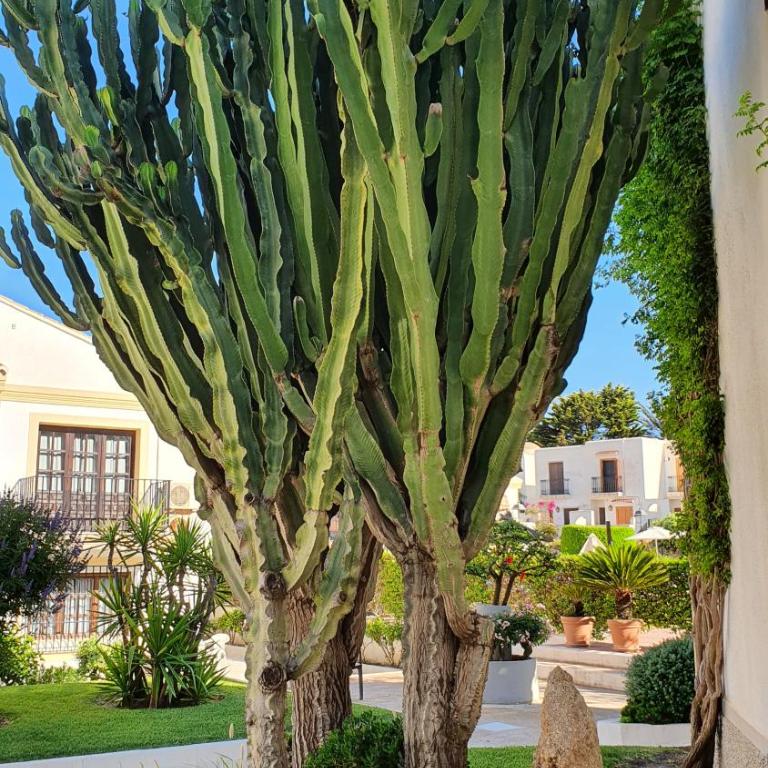 Very Very Vera Beach - Freshly Renovated - Apartamento - 20