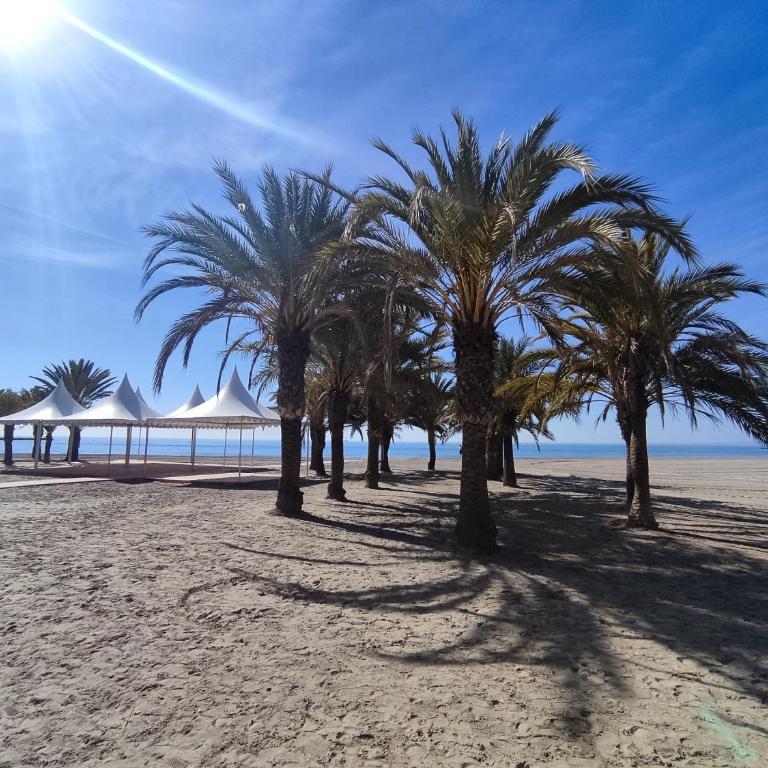 Apartamento Ronda - Santa Pola - Apartamento de 2 dormitorios - 51