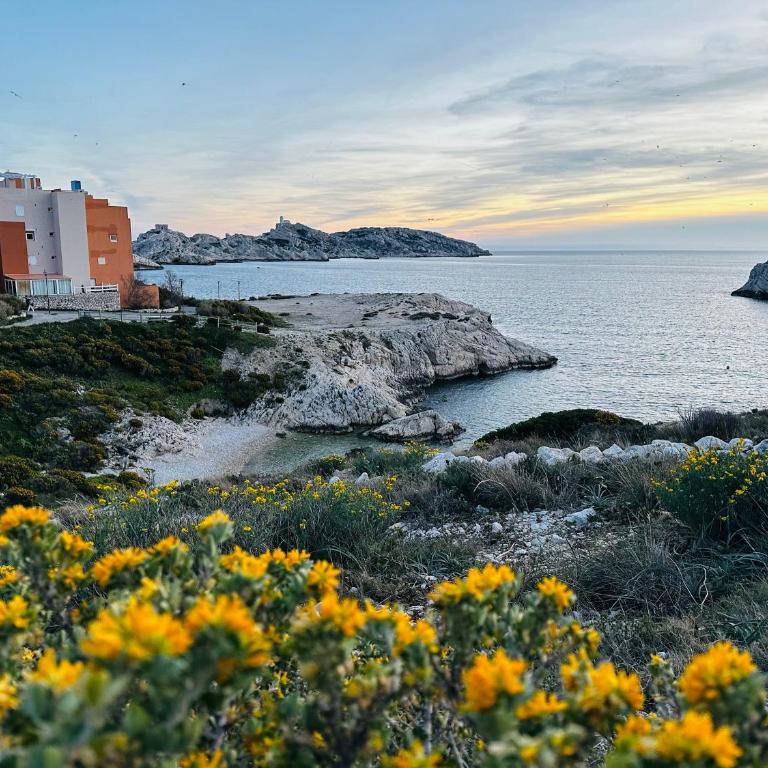 île du Frioul, la daurade du Frioul, marseille - Appartement 1 Chambre - 3