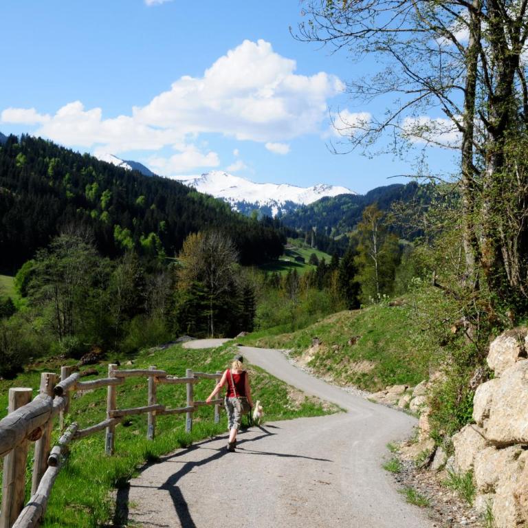 MEB Appartement, luxuriöses Appartement, im Chalet-Stil nur für Zwei, mit privater Sauna im Oberallgäu - Apartment mit Blick auf die Berge - 20