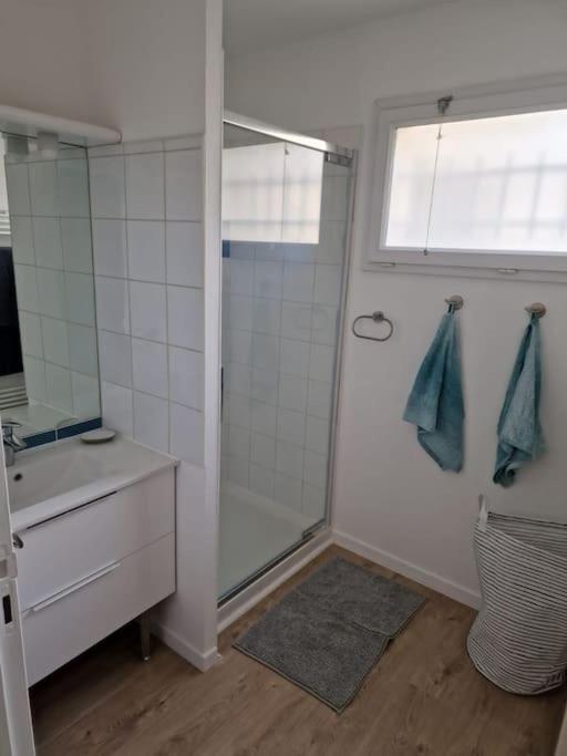 appartement t3 - Appartement 2 Chambres - 3