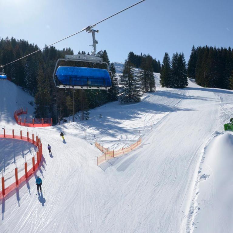 MEB Appartement, luxuriöses Appartement, im Chalet-Stil nur für Zwei, mit privater Sauna im Oberallgäu - Apartment mit Blick auf die Berge - 30