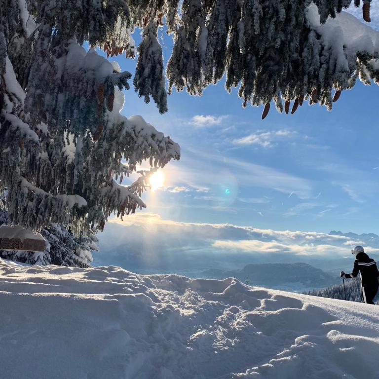 MEB Appartement, luxuriöses Appartement, im Chalet-Stil nur für Zwei, mit privater Sauna im Oberallgäu - Apartment mit Blick auf die Berge - 29