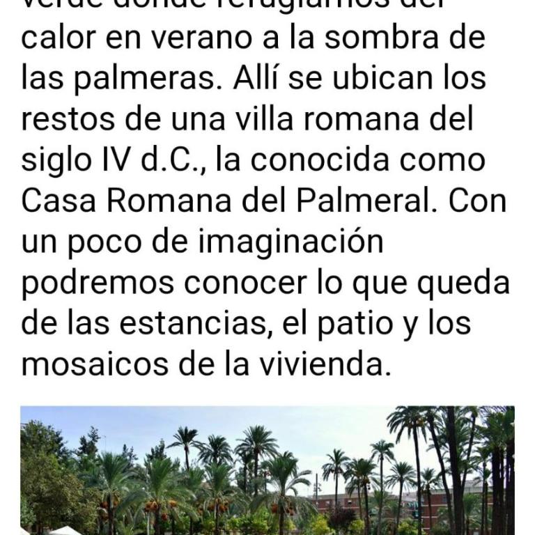 Eva Santa pola - Apartamento de 3 dormitorios - 50