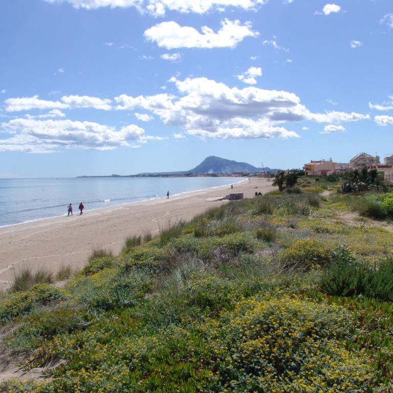 Nueva Playa C2 - One-Bedroom Apartment - 16