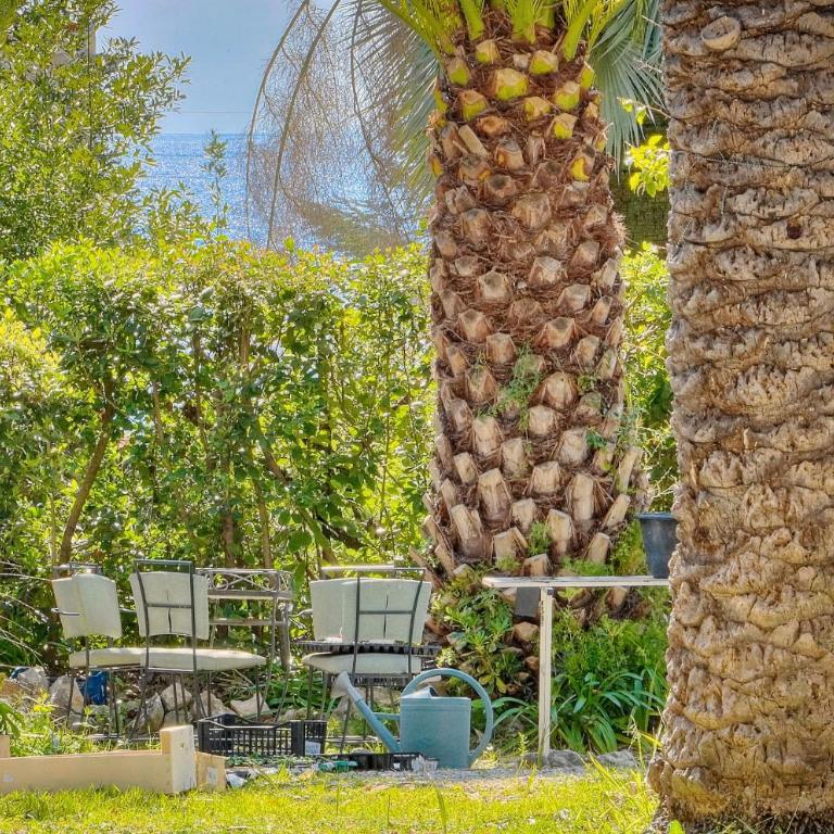 Beau 2 chambres TERRASSE, JARDIN, Picaud- Proche Plages MIDI A2B241 - Appartement - Rez-de-Chaussée - 28
