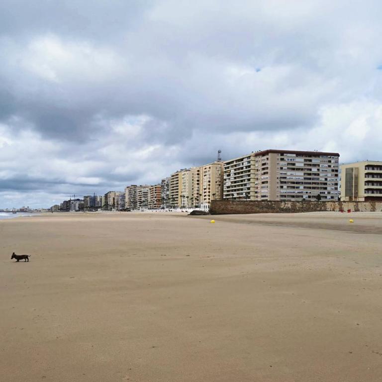 Romántica vista al paseo marítimo de Cádiz - Apartamento con vistas al mar - 33