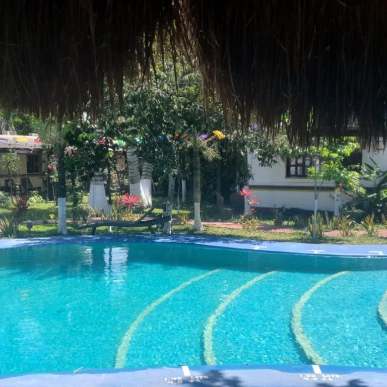 Cabañas Colibrí - Suite Deluxe - 1