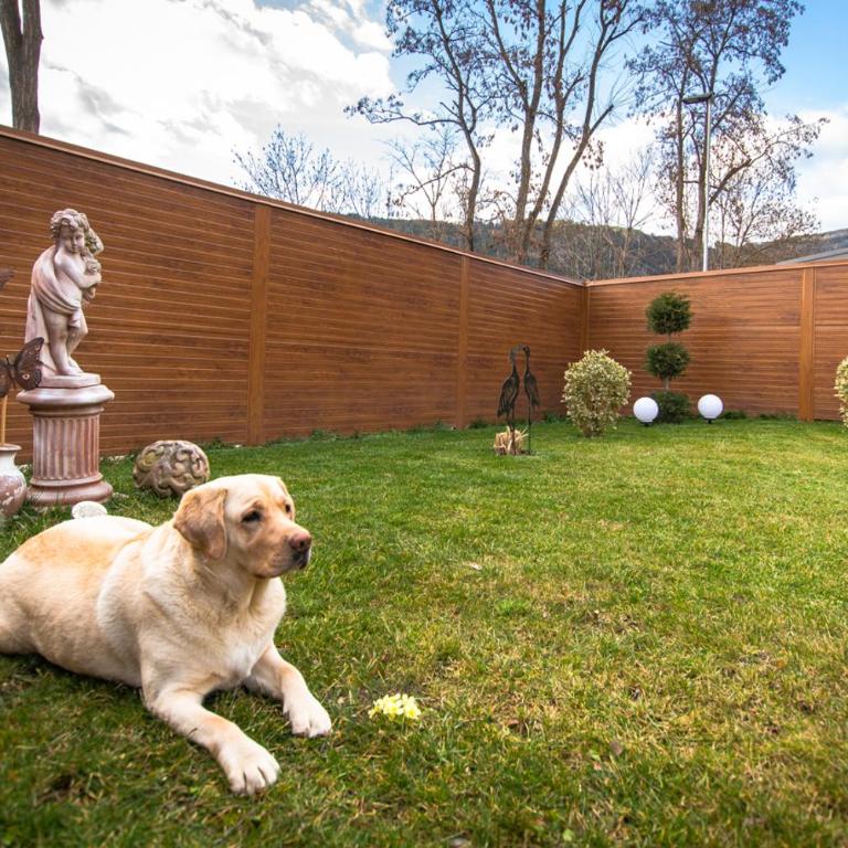 AusZeit Steiraland 3 mit überdachter Terasse privatem Garten und gratis Parkplatz - Appartamento con 1 Camera da Letto - 7