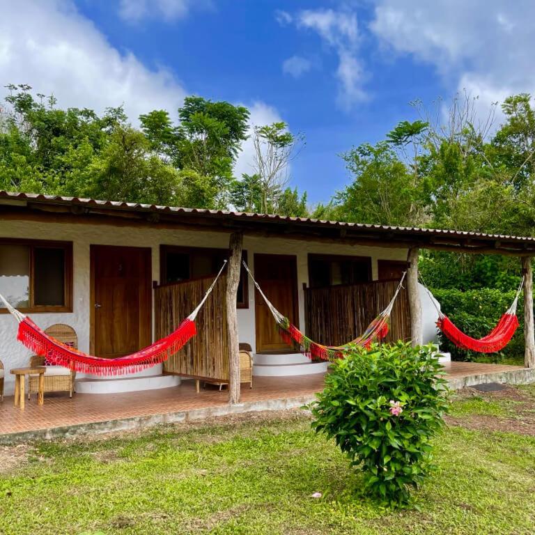 Enchanted Galapagos Lodge - Habitación con cama grande y vistas al jardín - 2