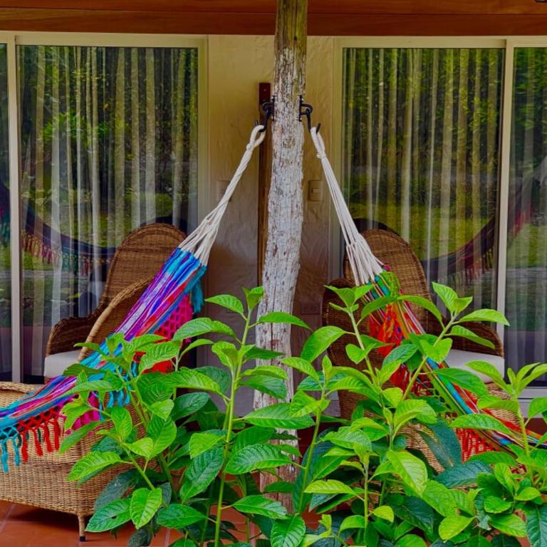 Enchanted Galapagos Lodge - Habitación Deluxe con cama extragrande - 5