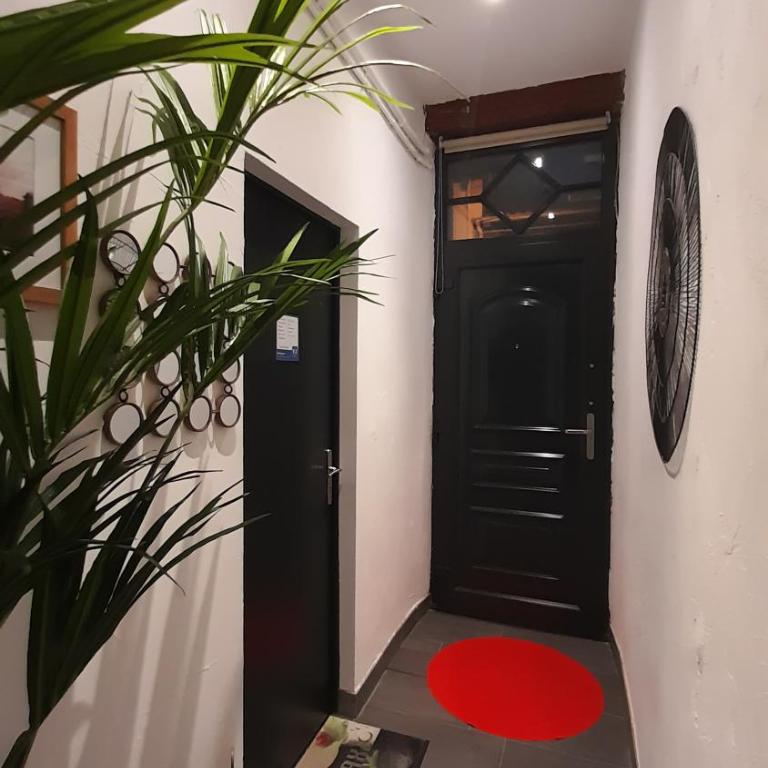 Canal du Midi - Apartment - Ground Floor - 21