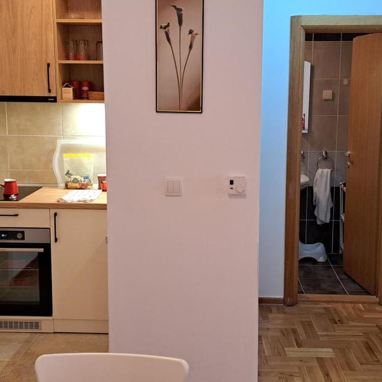 Apartman VNV - Apartman sa 1 Spavaćom Sobom - 38