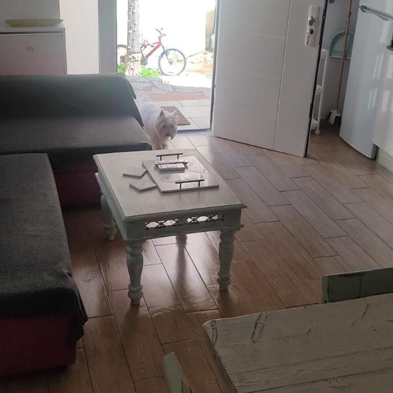 Loft El pez blanco - Apartamento Estudio - 5