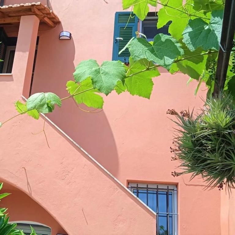 Casa Ninetta, tra mare e natura. - Casa con 2 Camere da Letto - 6