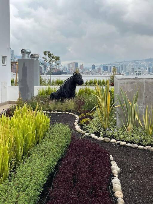 Luxury Studio Downtown Quito - Apartamento de 1 dormitorio - 40