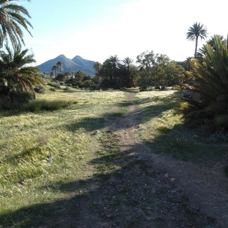Beachfront Home in La Isleta - Apartamento de 2 dormitorios - 25