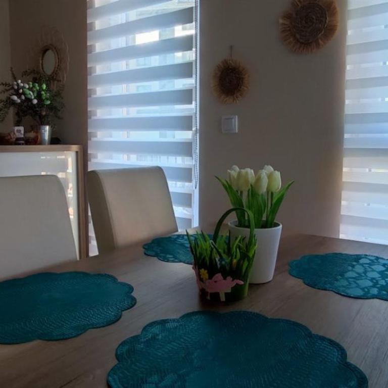 Apartman FilaLux - Apartman sa 1 Spavaćom Sobom - 21
